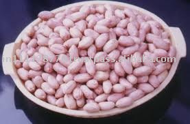 Peanut Kernels