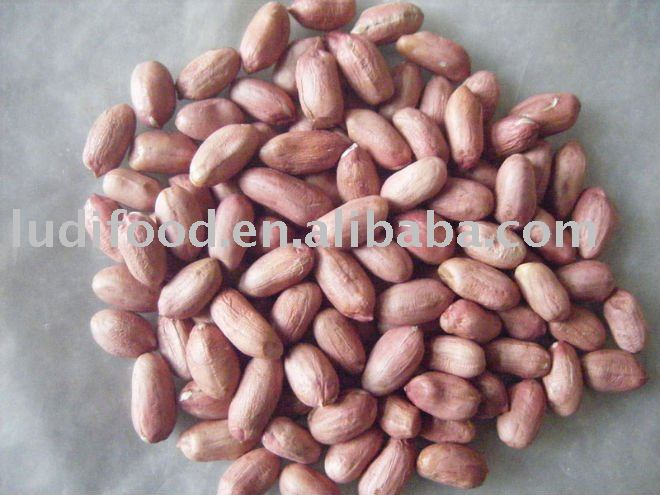 peanut kernel 24/28