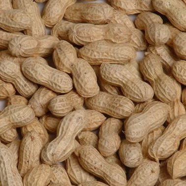 Peanut In Shell
