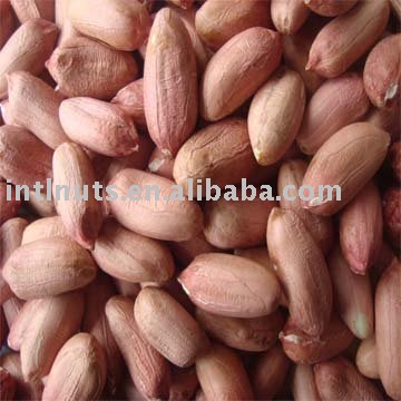 peanut kernel