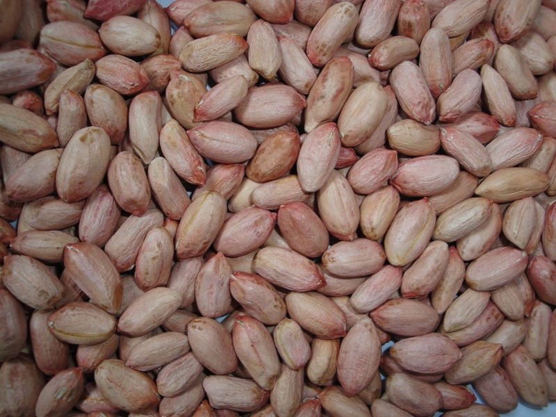 Peanut Kernels