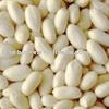 Blanched Peanut Kernels
