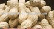 Shelled Peanut/in Shell