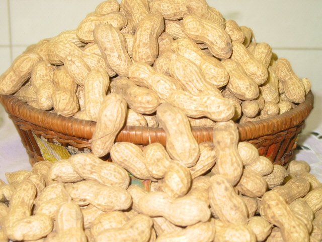 Roasted and Salted Peanuts