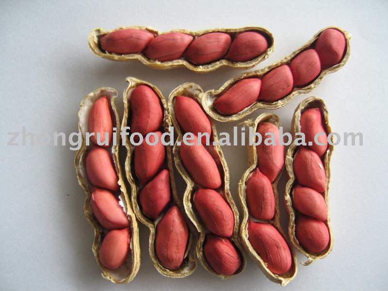 sily red peanut