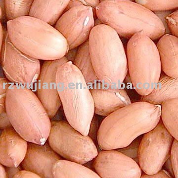 China's shandong big peanuts