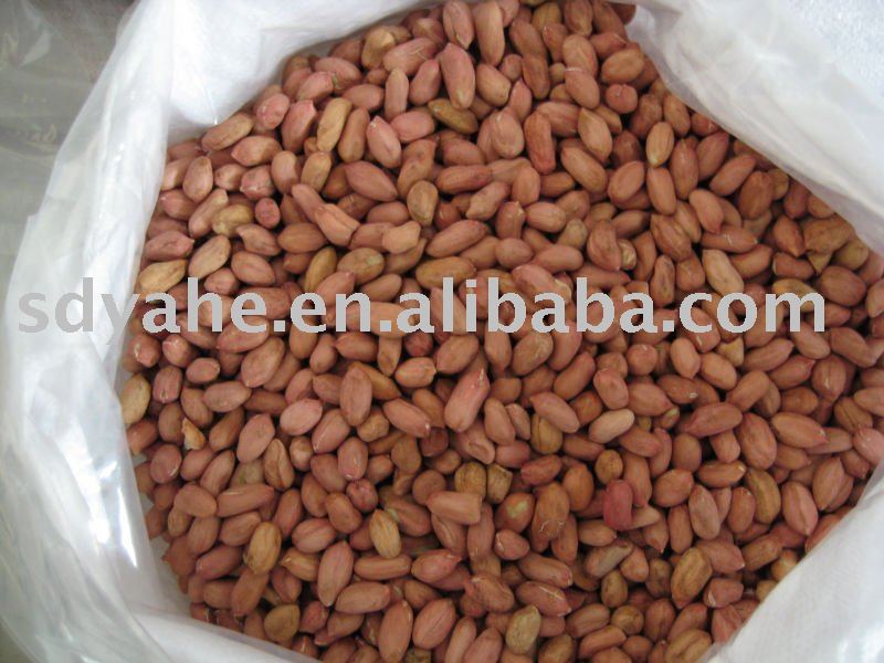 peanut kernel 24/28