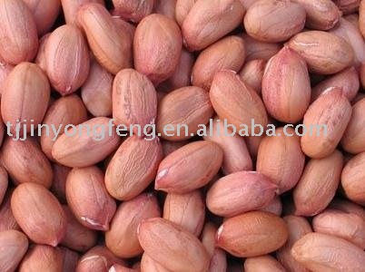 peanut kernels, peanut
