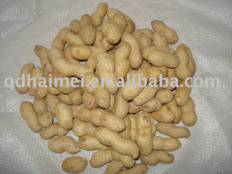 raw peanut in shell 9/11
