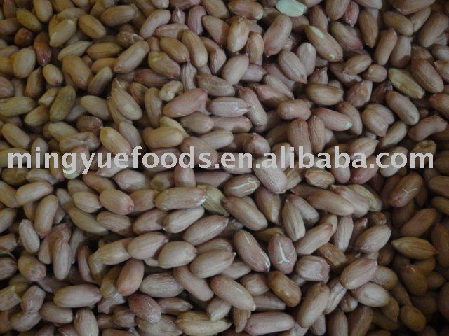 PEANUT KERNELS