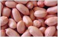 Peanuts