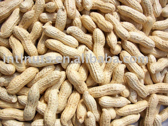 peanut inshell