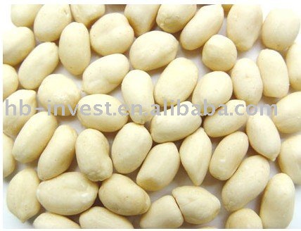 Blanched Peanuts kernels