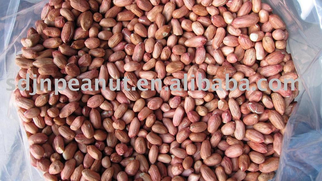 Peanut Kernels