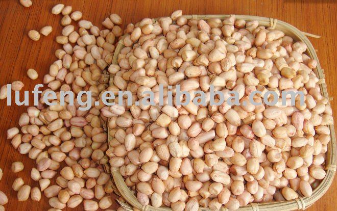 Round Type Peanut Kernels