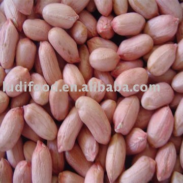 peanut kernel