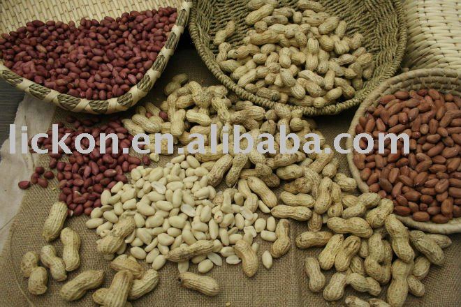Peanut Kernels