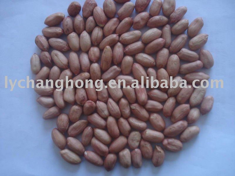 Best Quality Peanut