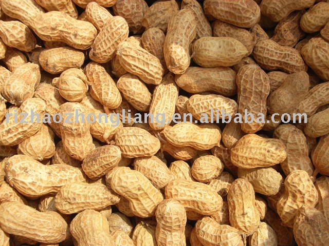 raw peanut