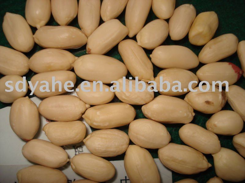 Blanched kernel 25/29