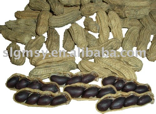 black Peanuts Dried Hot sale