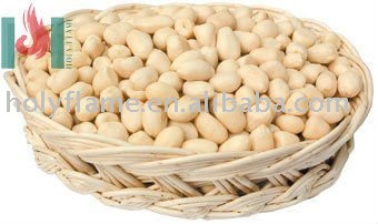 blanched peanut kernel