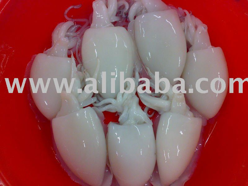 CUTTLE FISH WHOLE CLEANED,  BABY OCTOPUS W/C