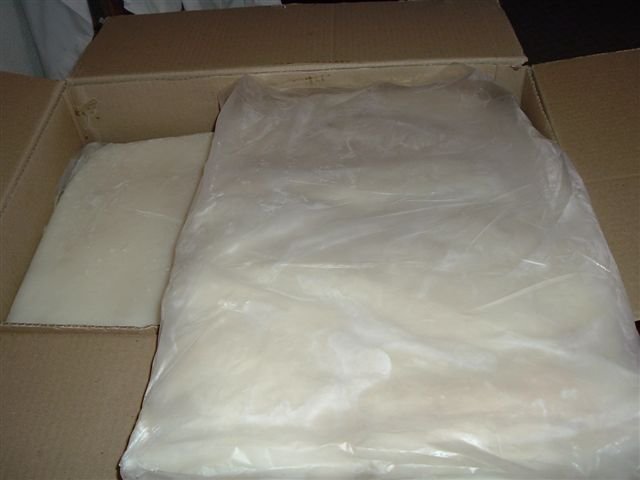 Giant Squid Product