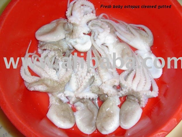 Baby Octopus Whole Cleaned