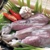 Whole clean squid