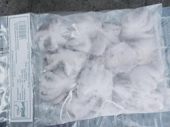 Whole Cleaned Baby Octopus
