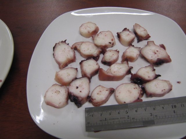 Tentacle Squid Slices