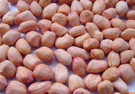 Peanut Kernel