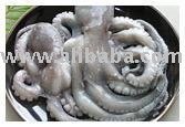 Whole Cleaned (Ink-off and Gutted)  Large Octopus