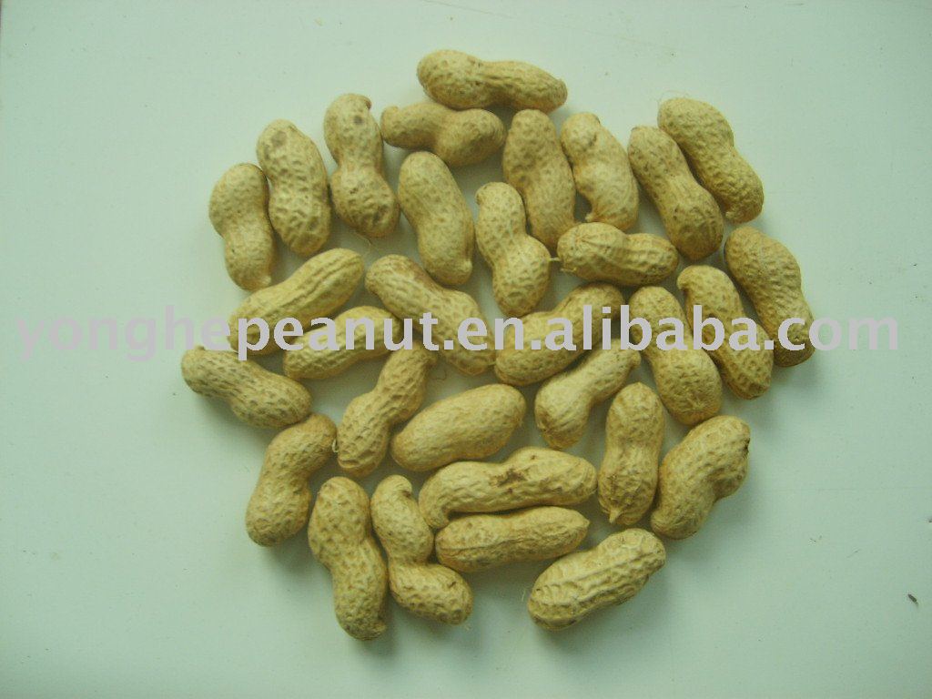 peanut inshell