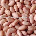 Ground nut