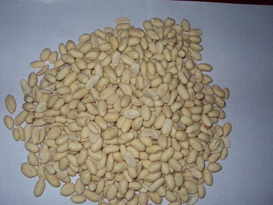 blanched peanut