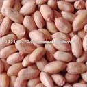 SEEDS