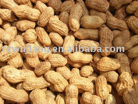 peanut