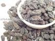 Dry Black/Green/Golden Sultana Raisins