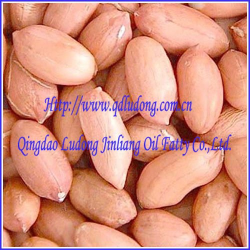 Peanut kernel
