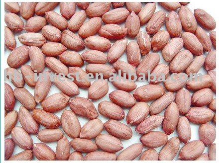 Peanuts kernels