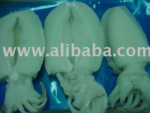 Cleaned Cuttlefish From Vietnam