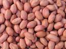 we are one of the leading manufacturers and suppliers for peanut products in China....