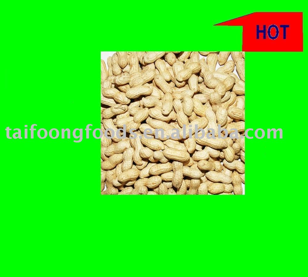 2009 RAW PEANUTS IN SHELL