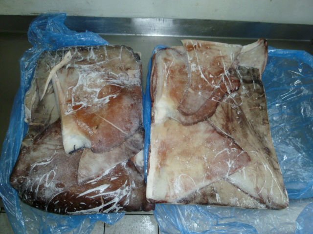 GIANT SQUID FROZEN WINGS