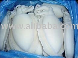 frozen cuttle fish