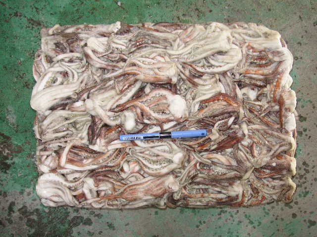 Frozen Argentine Squid Tentacles