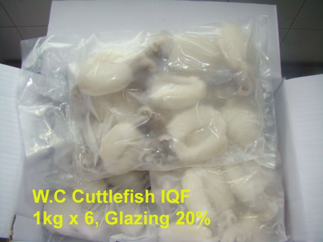 Frozen Baby Cuttlefish