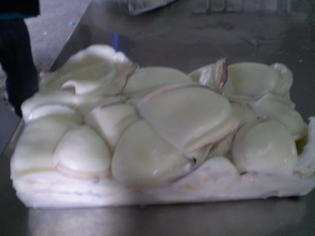 Block frozen cuttlefish fillet